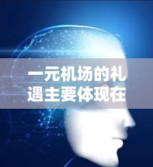 一元机场的礼遇主要体现在机场为旅客提供便利和友好的服务。具体来说,这些服务包括